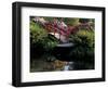 Moon Bridge and Pond in a Japanese Garden, Seattle, Washington, USA-Jamie & Judy Wild-Framed Photographic Print