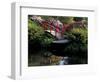 Moon Bridge and Pond in a Japanese Garden, Seattle, Washington, USA-Jamie & Judy Wild-Framed Photographic Print