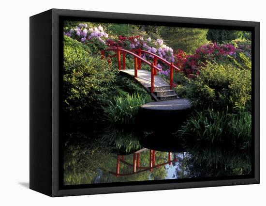 Moon Bridge and Pond in a Japanese Garden, Seattle, Washington, USA-Jamie & Judy Wild-Framed Stretched Canvas