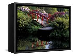 Moon Bridge and Pond in a Japanese Garden, Seattle, Washington, USA-Jamie & Judy Wild-Framed Stretched Canvas