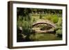 Moon Bridge I-Erin Berzel-Framed Photographic Print