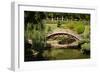 Moon Bridge I-Erin Berzel-Framed Photographic Print