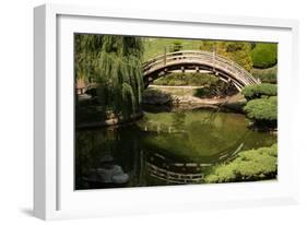 Moon Bridge II-Erin Berzel-Framed Photographic Print