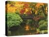 Moon Bridge in Autumn: Portland Japanese Garden, Portland, Oregon, USA-Michel Hersen-Stretched Canvas