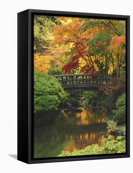 Moon Bridge in Autumn: Portland Japanese Garden, Portland, Oregon, USA-Michel Hersen-Framed Stretched Canvas