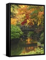 Moon Bridge in Autumn: Portland Japanese Garden, Portland, Oregon, USA-Michel Hersen-Framed Stretched Canvas