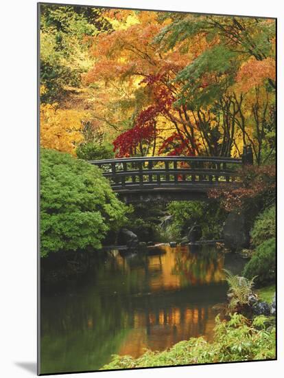 Moon Bridge in Autumn: Portland Japanese Garden, Portland, Oregon, USA-Michel Hersen-Mounted Premium Photographic Print