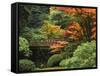 Moon Bridge in Autumn: Portland Japanese Garden, Portland, Oregon, USA-Michel Hersen-Framed Stretched Canvas