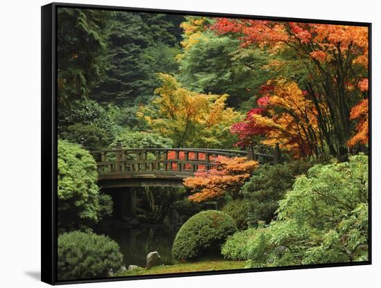 Moon Bridge in Autumn: Portland Japanese Garden, Portland, Oregon, USA-Michel Hersen-Framed Stretched Canvas