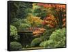 Moon Bridge in Autumn: Portland Japanese Garden, Portland, Oregon, USA-Michel Hersen-Framed Stretched Canvas