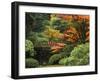 Moon Bridge in Autumn: Portland Japanese Garden, Portland, Oregon, USA-Michel Hersen-Framed Premium Photographic Print