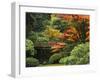 Moon Bridge in Autumn: Portland Japanese Garden, Portland, Oregon, USA-Michel Hersen-Framed Premium Photographic Print