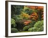 Moon Bridge in Autumn: Portland Japanese Garden, Portland, Oregon, USA-Michel Hersen-Framed Photographic Print