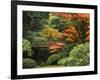 Moon Bridge in Autumn: Portland Japanese Garden, Portland, Oregon, USA-Michel Hersen-Framed Photographic Print
