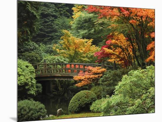 Moon Bridge in Autumn: Portland Japanese Garden, Portland, Oregon, USA-Michel Hersen-Mounted Photographic Print