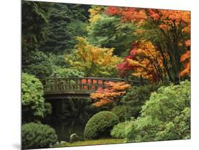 Moon Bridge in Autumn: Portland Japanese Garden, Portland, Oregon, USA-Michel Hersen-Mounted Photographic Print