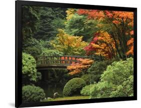 Moon Bridge in Autumn: Portland Japanese Garden, Portland, Oregon, USA-Michel Hersen-Framed Photographic Print