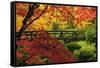 Moon Bridge in Autumn, Portland Japanese Garden, Portland, Oregon, USA-Michel Hersen-Framed Stretched Canvas