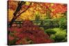 Moon Bridge in Autumn, Portland Japanese Garden, Portland, Oregon, USA-Michel Hersen-Stretched Canvas