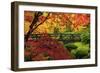 Moon Bridge in Autumn, Portland Japanese Garden, Portland, Oregon, USA-Michel Hersen-Framed Photographic Print