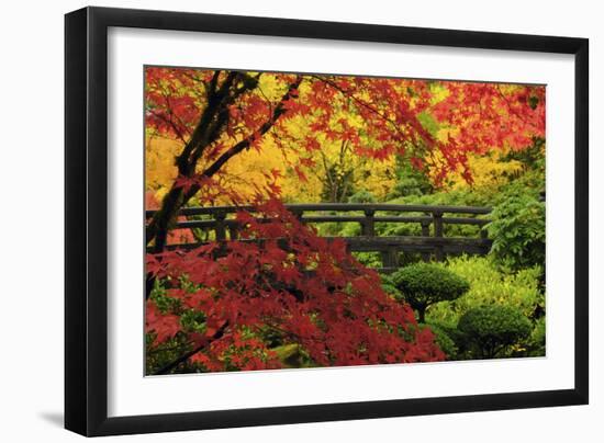 Moon Bridge in Autumn, Portland Japanese Garden, Portland, Oregon, USA-Michel Hersen-Framed Photographic Print