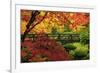 Moon Bridge in Autumn, Portland Japanese Garden, Portland, Oregon, USA-Michel Hersen-Framed Photographic Print