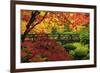 Moon Bridge in Autumn, Portland Japanese Garden, Portland, Oregon, USA-Michel Hersen-Framed Photographic Print