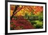 Moon Bridge in Autumn, Portland Japanese Garden, Portland, Oregon, USA-Michel Hersen-Framed Photographic Print