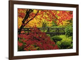 Moon Bridge in Autumn, Portland Japanese Garden, Portland, Oregon, USA-Michel Hersen-Framed Photographic Print