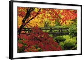 Moon Bridge in Autumn, Portland Japanese Garden, Portland, Oregon, USA-Michel Hersen-Framed Photographic Print