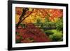 Moon Bridge in Autumn, Portland Japanese Garden, Portland, Oregon, USA-Michel Hersen-Framed Photographic Print