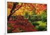 Moon Bridge in Autumn, Portland Japanese Garden, Portland, Oregon, USA-Michel Hersen-Framed Photographic Print