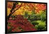 Moon Bridge in Autumn, Portland Japanese Garden, Portland, Oregon, USA-Michel Hersen-Framed Photographic Print