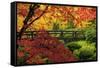 Moon Bridge in Autumn, Portland Japanese Garden, Portland, Oregon, USA-Michel Hersen-Framed Stretched Canvas
