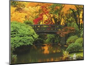 Moon Bridge in Autumn: Portland Japanese Garden, Portland, Oregon, USA-Michel Hersen-Mounted Photographic Print