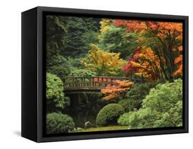 Moon Bridge in Autumn: Portland Japanese Garden, Portland, Oregon, USA-Michel Hersen-Framed Stretched Canvas