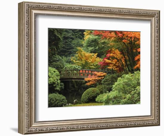 Moon Bridge in Autumn: Portland Japanese Garden, Portland, Oregon, USA-Michel Hersen-Framed Photographic Print