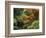 Moon Bridge in Autumn: Portland Japanese Garden, Portland, Oregon, USA-Michel Hersen-Framed Photographic Print