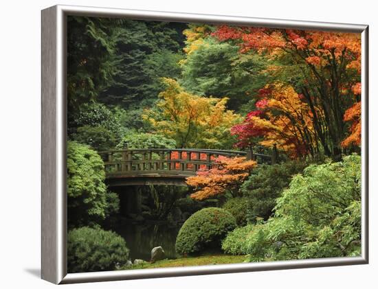 Moon Bridge in Autumn: Portland Japanese Garden, Portland, Oregon, USA-Michel Hersen-Framed Photographic Print