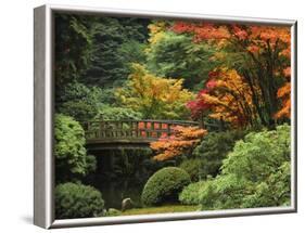 Moon Bridge in Autumn: Portland Japanese Garden, Portland, Oregon, USA-Michel Hersen-Framed Photographic Print