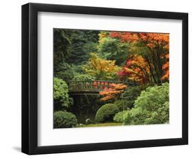 Moon Bridge in Autumn: Portland Japanese Garden, Portland, Oregon, USA-Michel Hersen-Framed Photographic Print