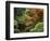 Moon Bridge in Autumn: Portland Japanese Garden, Portland, Oregon, USA-Michel Hersen-Framed Photographic Print