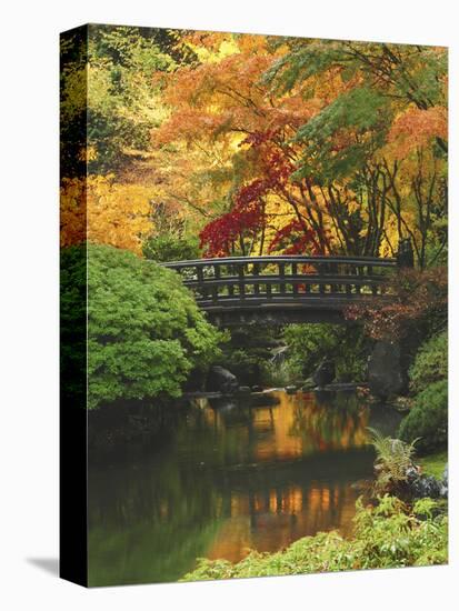 Moon Bridge in Autumn: Portland Japanese Garden, Portland, Oregon, USA-Michel Hersen-Stretched Canvas