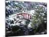 Moon Bridge in Kabota Gardens, Seattle, Washington, USA-Julie Eggers-Mounted Photographic Print