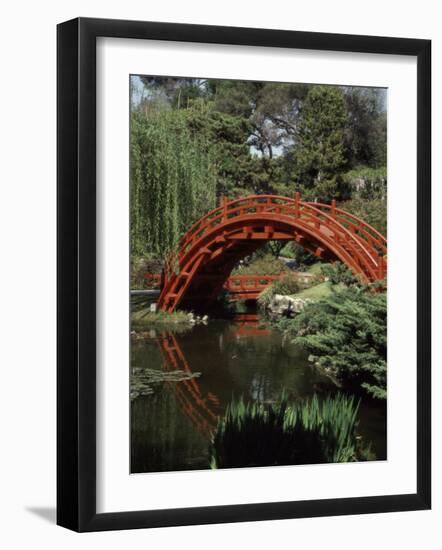 Moon Bridge Japanese Garden Huntington Botanical Gardens San Marino, California, USA-null-Framed Photographic Print