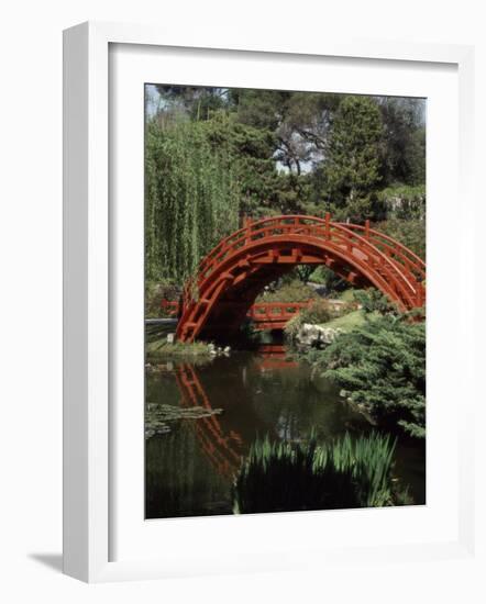 Moon Bridge Japanese Garden Huntington Botanical Gardens San Marino, California, USA-null-Framed Photographic Print