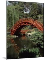 Moon Bridge Japanese Garden Huntington Botanical Gardens San Marino, California, USA-null-Mounted Photographic Print