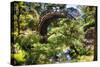 Moon Bridge Over a Small Creek-George Oze-Stretched Canvas