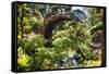 Moon Bridge Over a Small Creek-George Oze-Framed Stretched Canvas