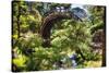 Moon Bridge Over a Small Creek-George Oze-Stretched Canvas